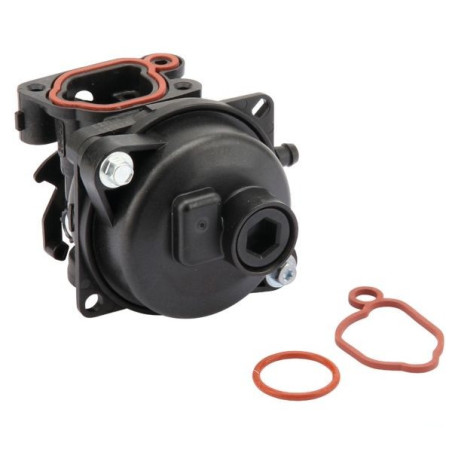 Carburateur tondeuse moteur Briggs & Stratton