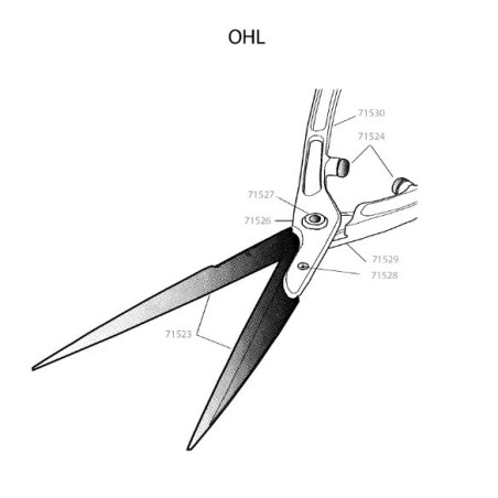 Jeu de 2 vis pour cisaille à haies OHL Outils Wolf