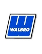 Carburateur pour débroussailleuse chinoise CG330 33cc remplace le style  Walbro : : Auto et Moto