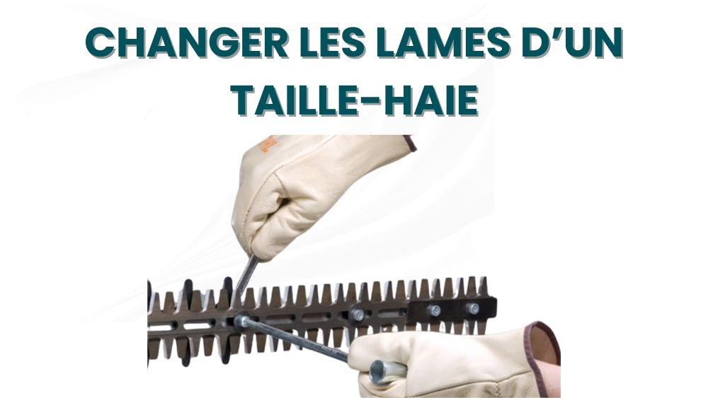 Changer lame d'un taille haie