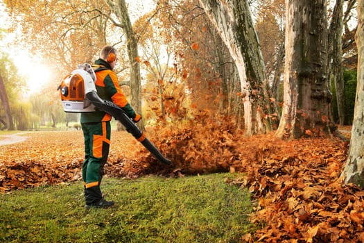 Régler les problèmes de carburateur sur souffleur de feuilles à dos